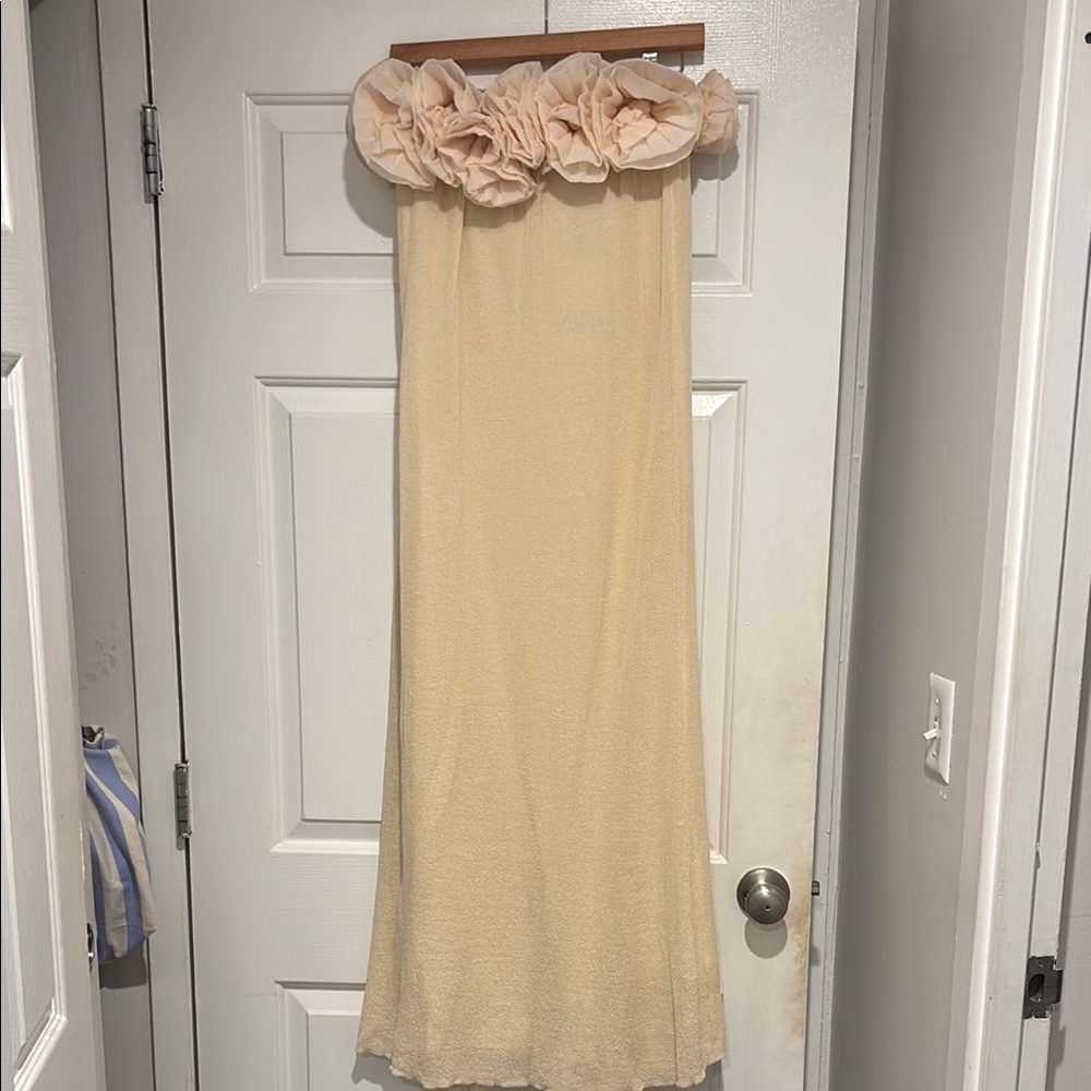 Zara Rosette Knit Maxi Dress